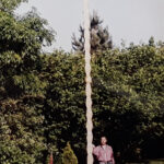 Totem pour l'an 2000. Frêne de 8m de hauteur