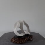 Coupe d'un coquillage sur socle en bois